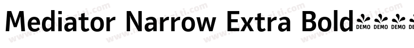 Mediator Narrow Extra Bold字体转换